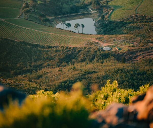 Cape Winelands Tour 2